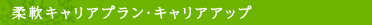 柔軟キャリアプラン・キャリアアップ